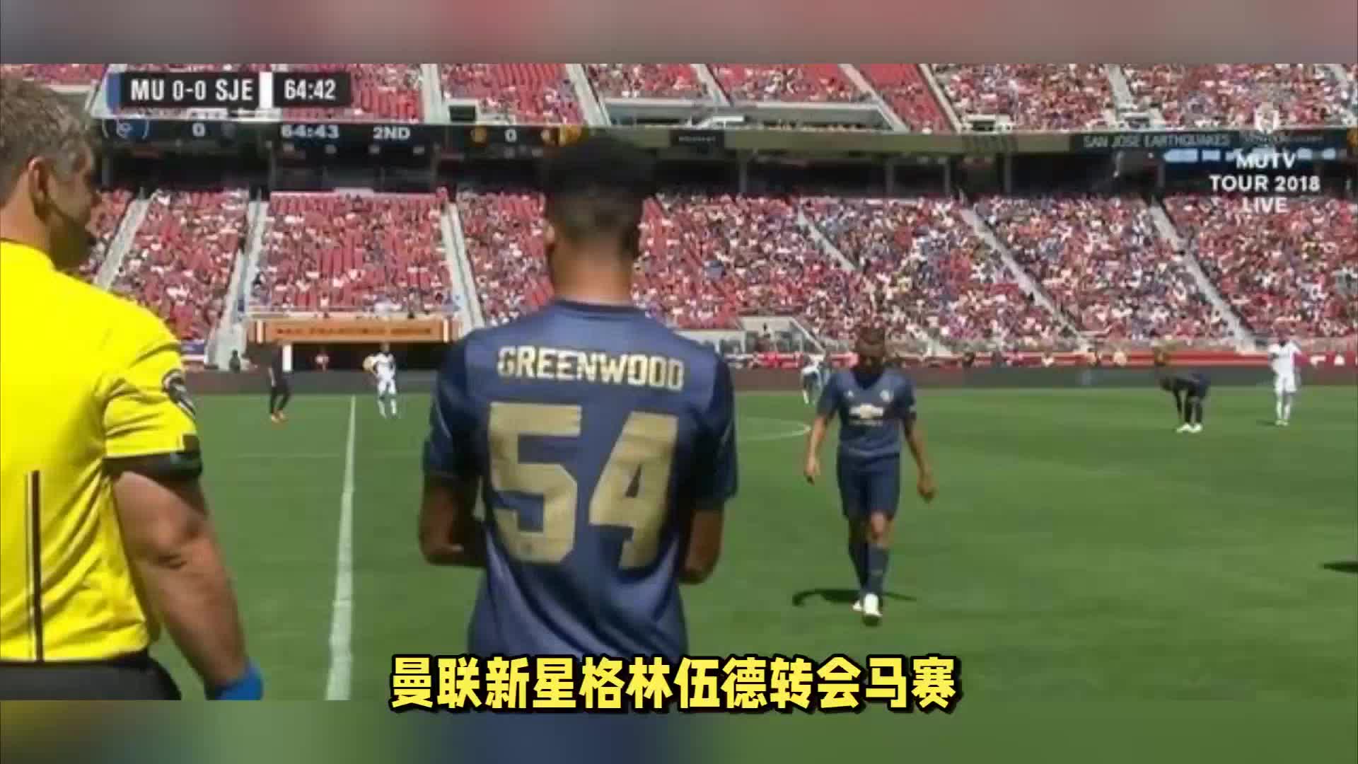 自己的能